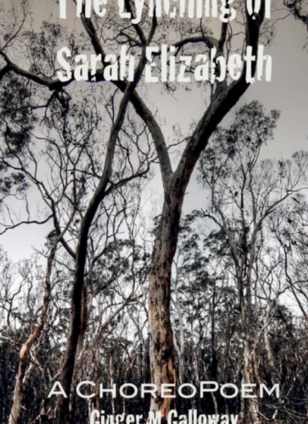A book cover of: The Lynching of Sarah Elizabeth by Ginger Galloway