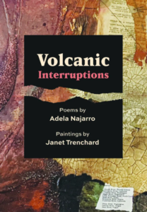 Book cover of Volcanic Interuptions