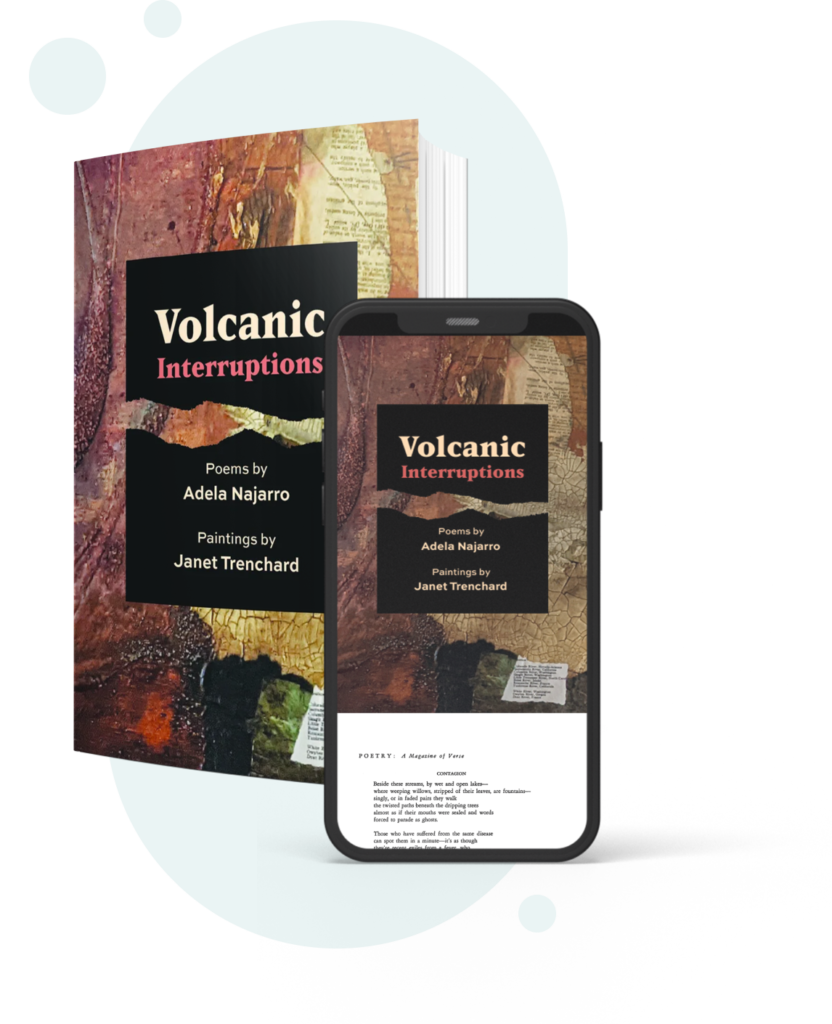 Book cover of the book Volcanic Interruptions by Adela Najarro